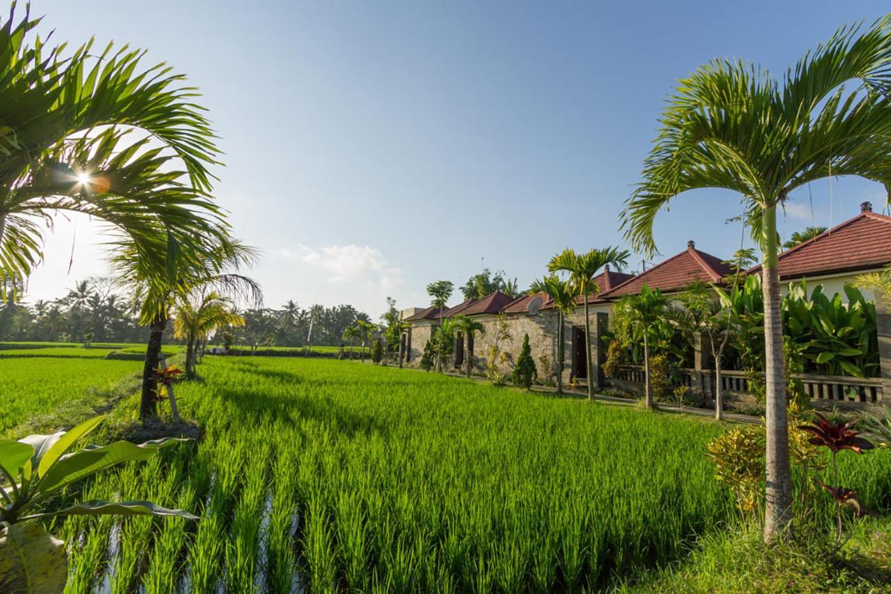 De Sawah Satoe Villa And Resort Ubud (Bali) Exterior photo